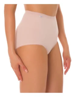 Sloggi Maxi Brief Pink/Brown 2 Pack -Myer Fashion Store 822292580 707223610 3 1 720x928