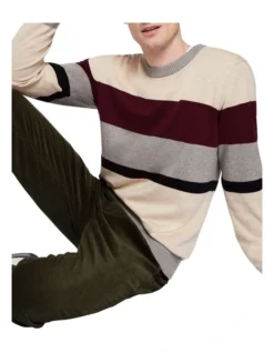 Layne Stripe Knit In Multi -Myer Fashion Store 915035590 4 720x928