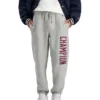 Champion Reverse Weave Collegiate Heritage Jogger In Oxford Heather