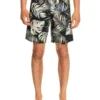 Quiksilver Highlite Arch 19" Boardshorts In Black 1 Quiksilver Highlite Arch 19" Boardshorts In Black -Myer Fashion Store 933694210 1 720x928