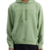 Champion Rochester Tech Hoodie In Green 1 Champion Rochester Tech Hoodie In Green -Myer Fashion Store 963951670 1 720x928
